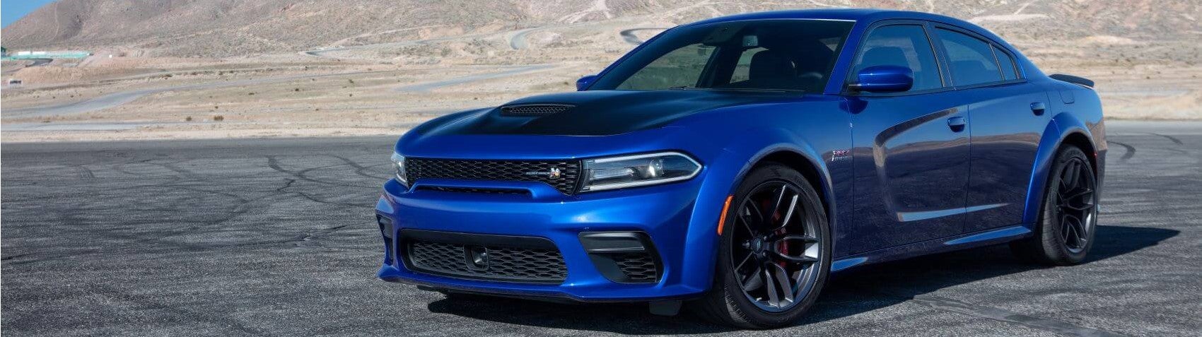 Blue Charger Snipped