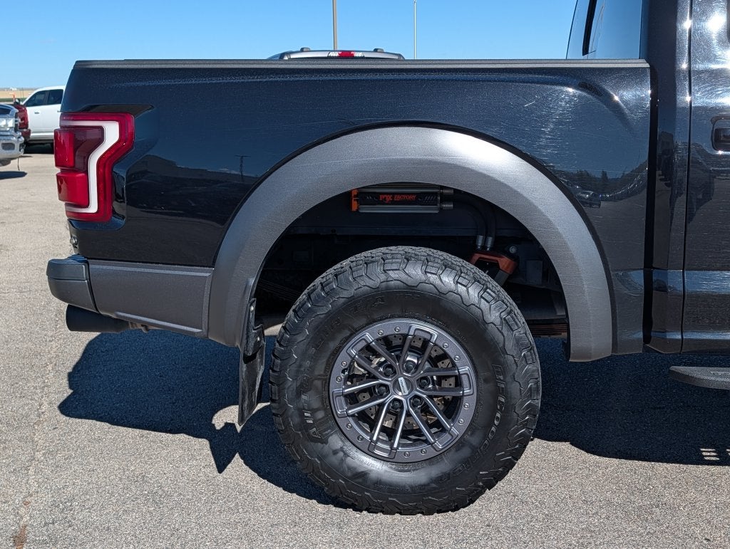 2020 Ford F-150 Raptor - Photo 6