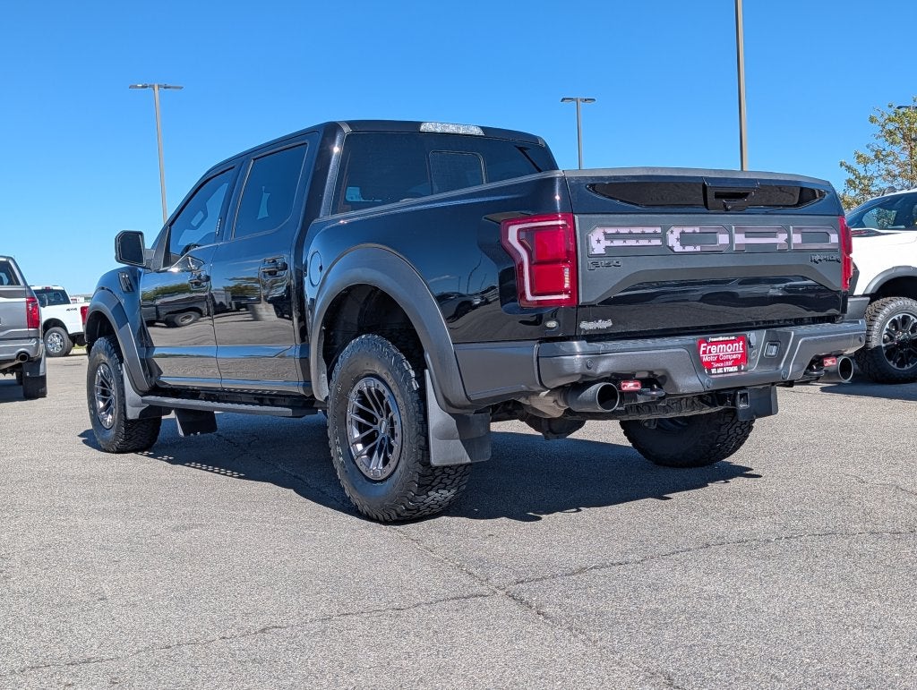 2020 Ford F-150 Raptor - Photo 7