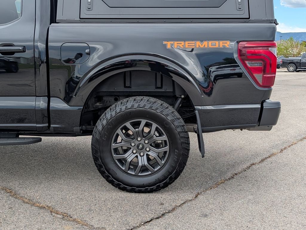 2025 Ford F-150 Tremor - Photo 15
