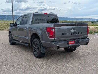 2024 Ford F-150 XLT Black Appearance Pkg.
