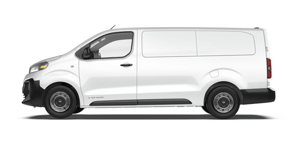 RAM Promaster