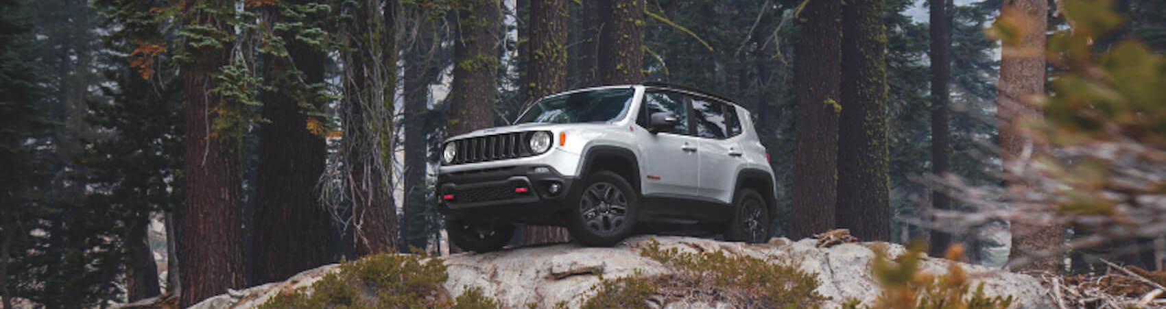Jeep Renegade Review