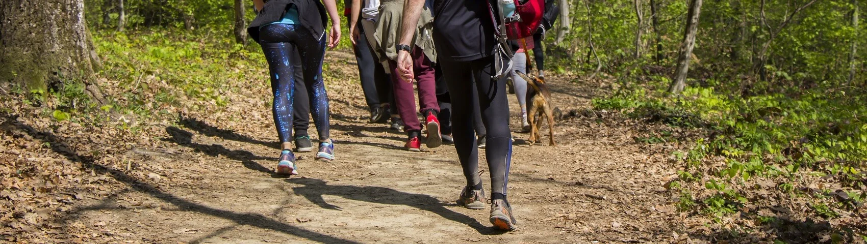 Hiking