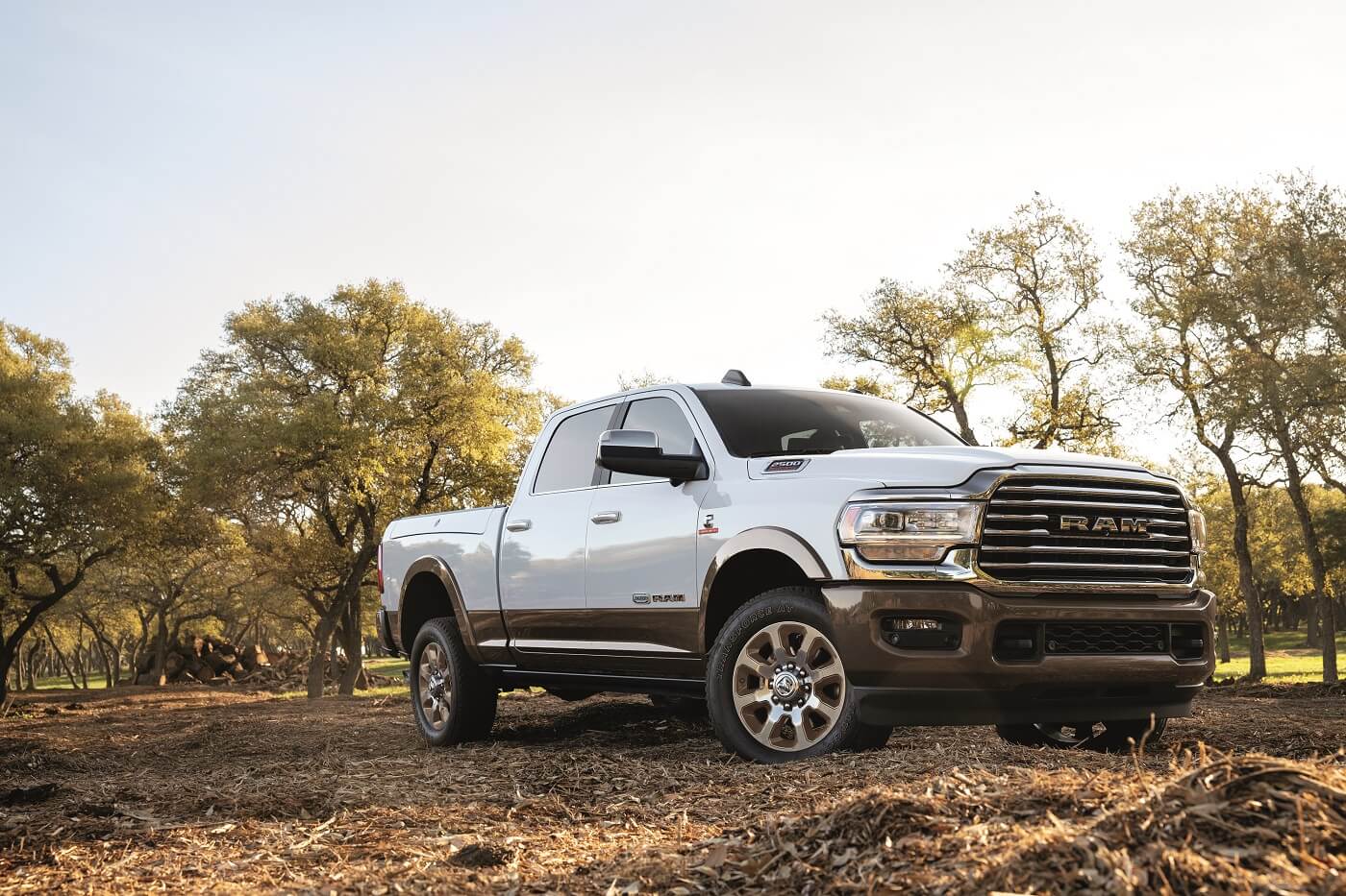 Ram Truck Inventory